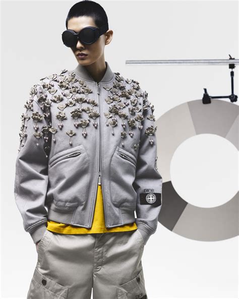 stone island x dior